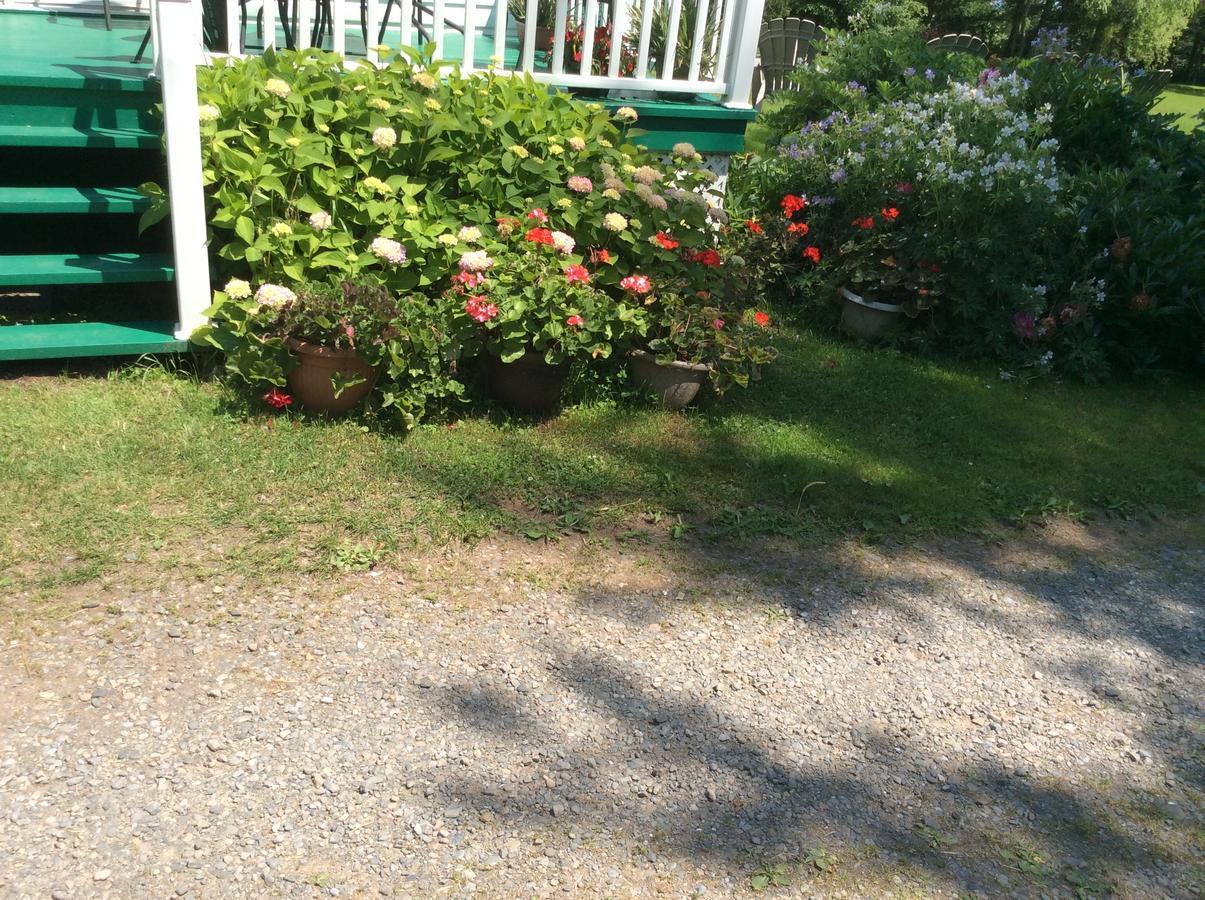 Gite MacDale B&B Paspebiac Exterior foto